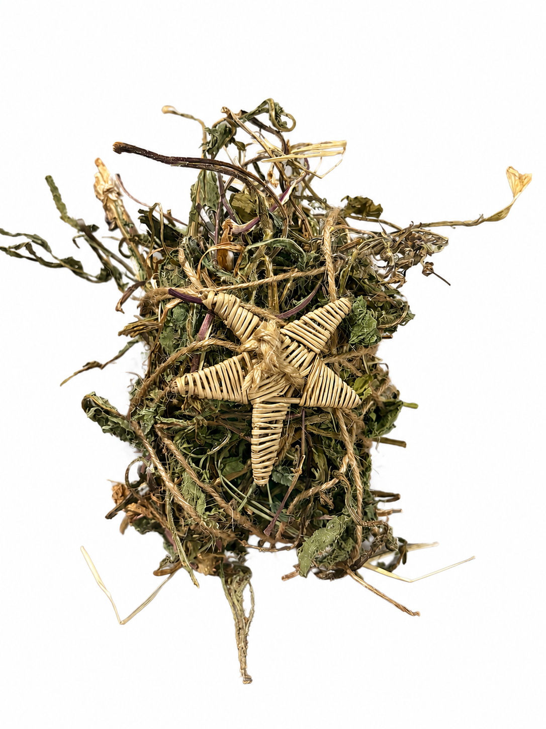 Stargazer Nest