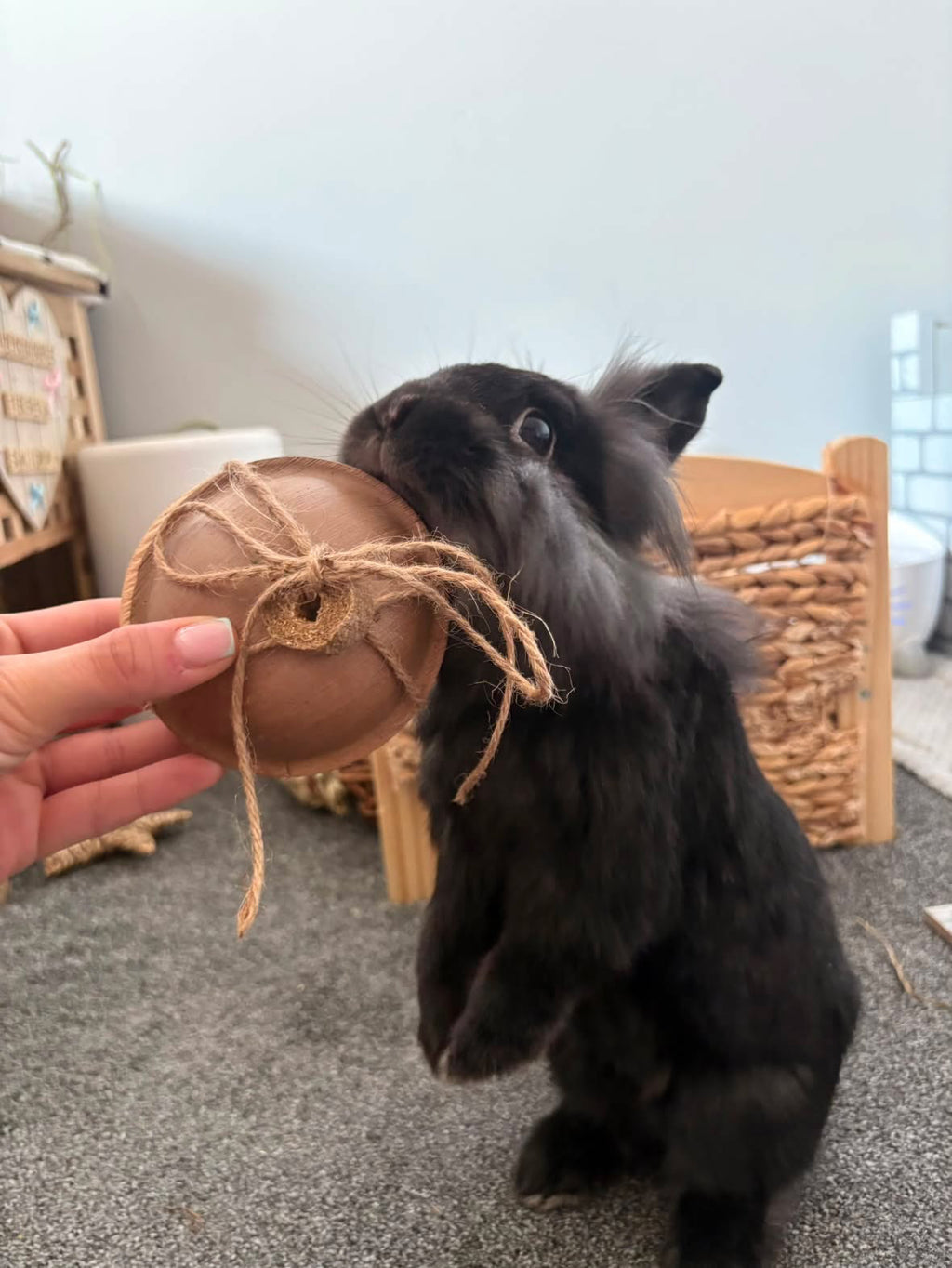 Hide'N'Wheek Parcel