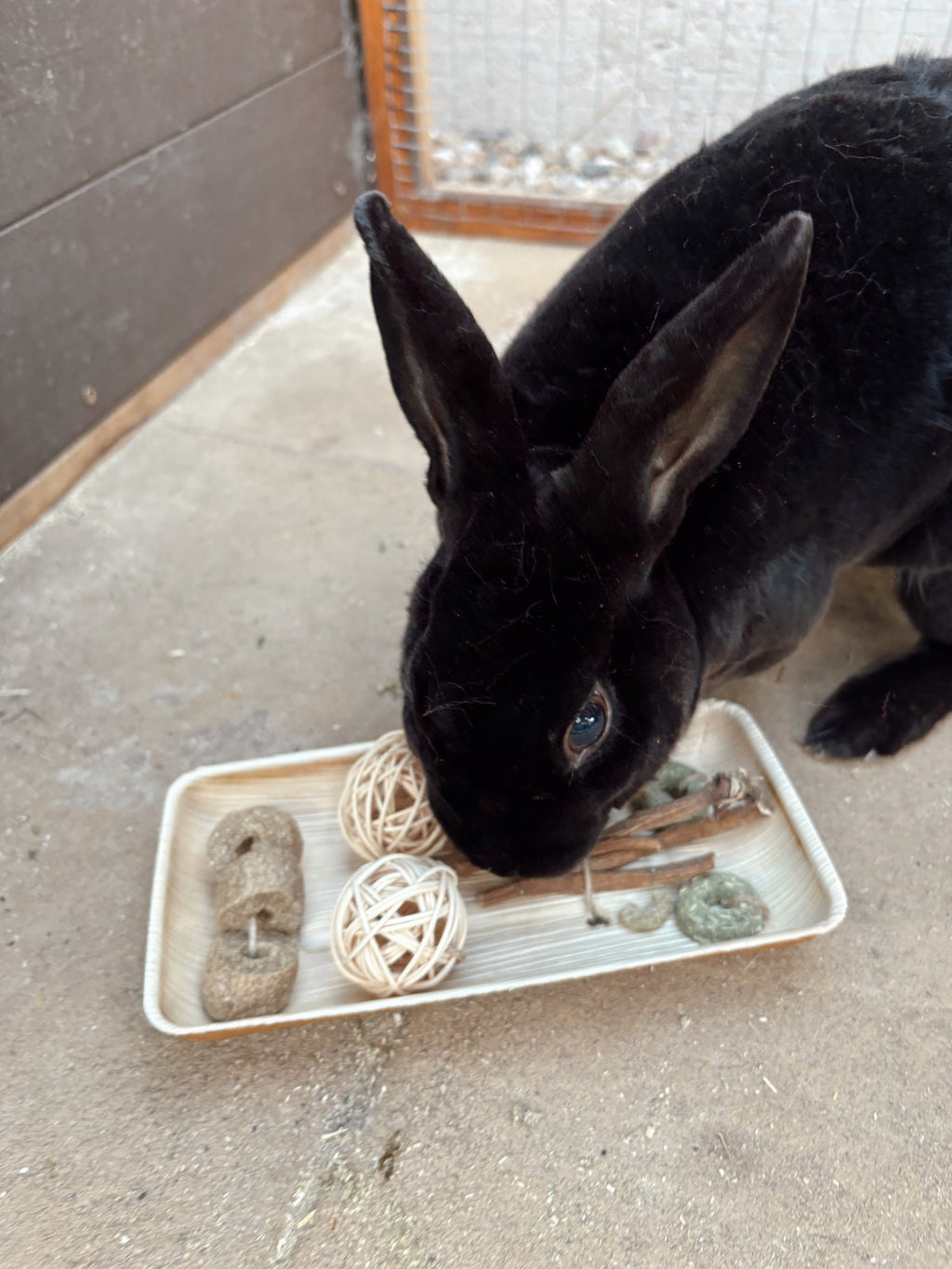 Play & Treat Platter
