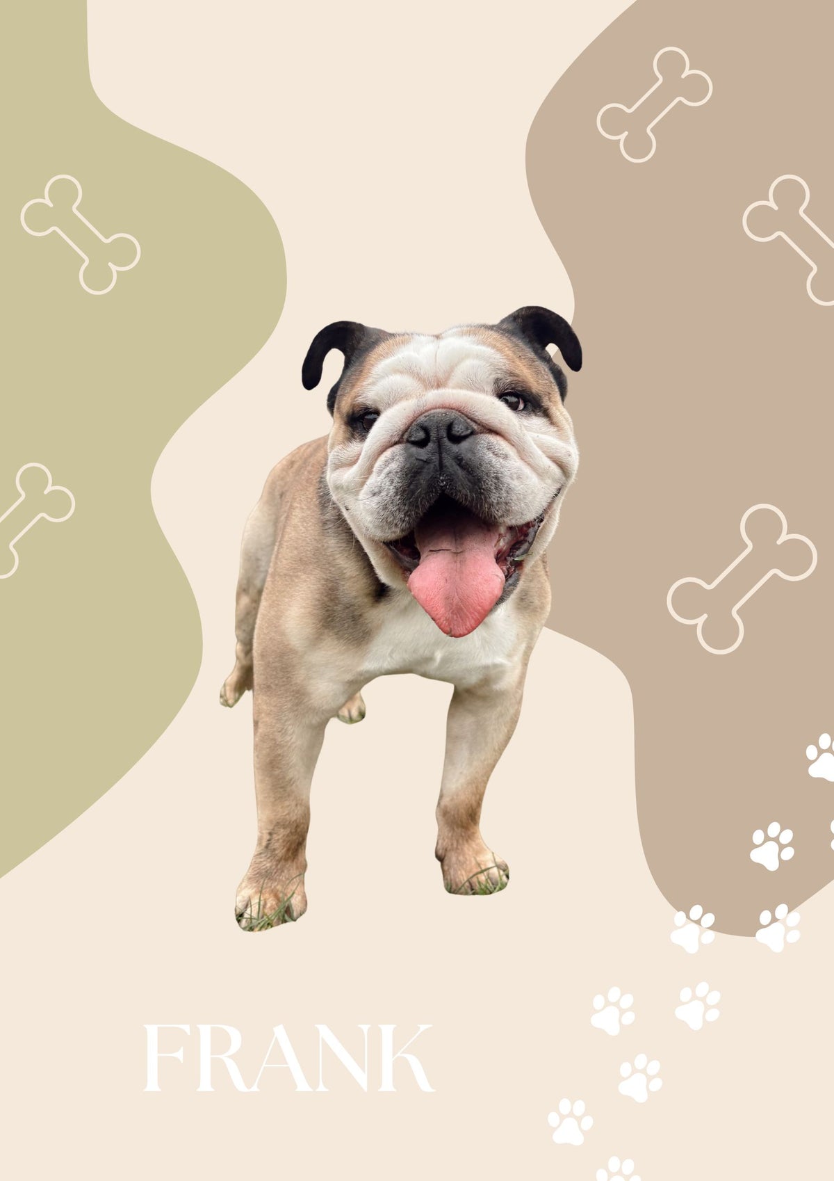 Dog Portrait