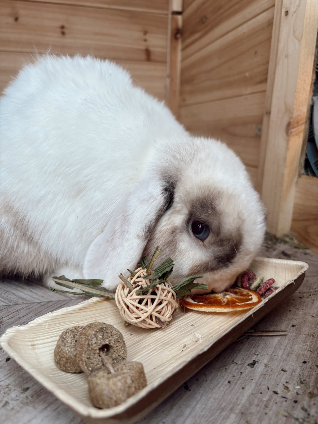 Picnic Platter