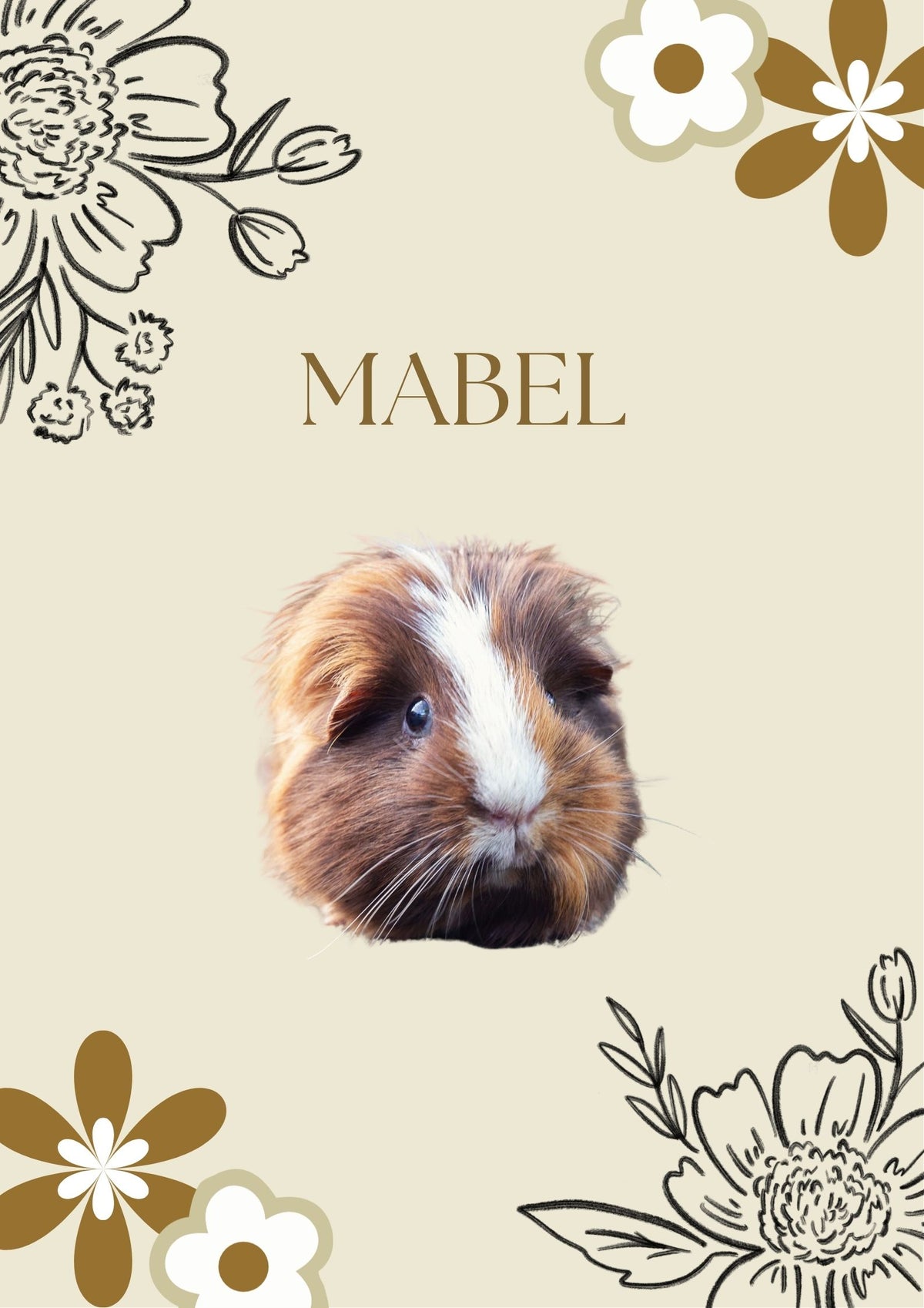 Guinea Pig Portrait
