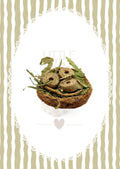 Nibble Nest