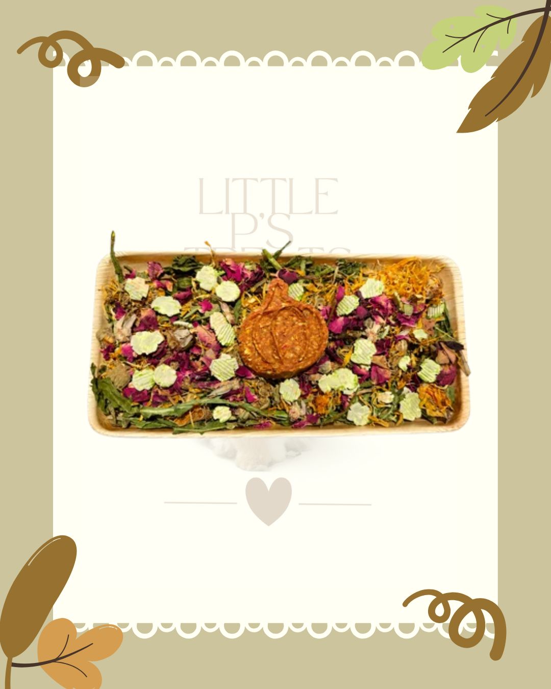 Pumpkin Harvest Board