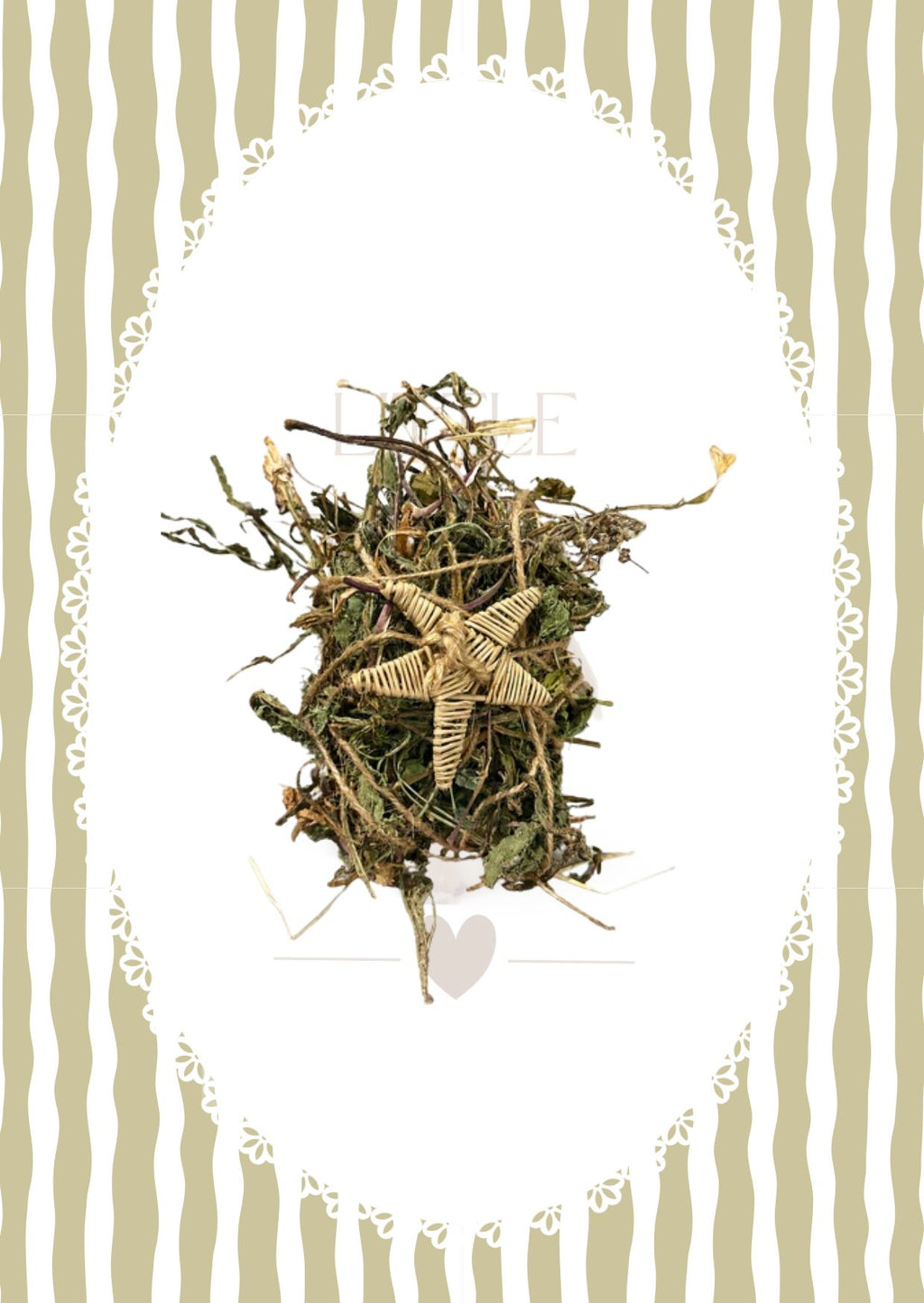 Stargazer Nest