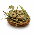 Nibble Nest