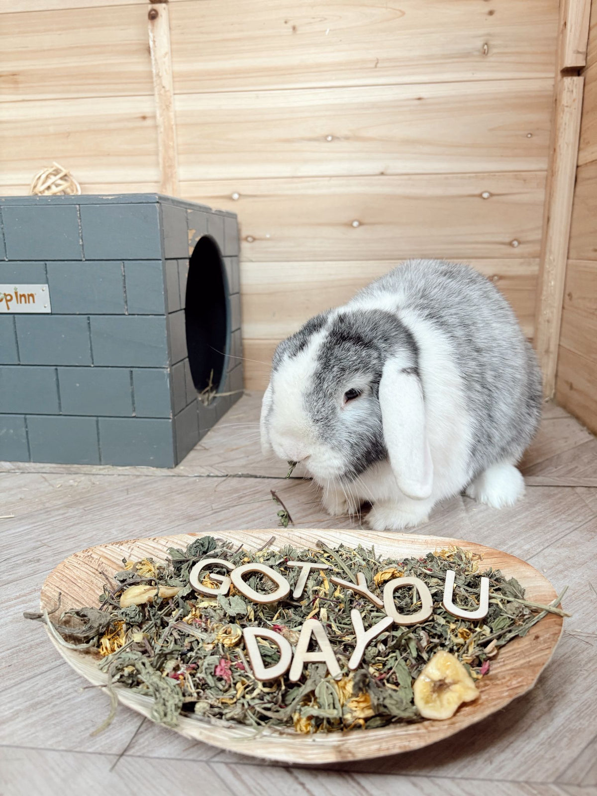 ‘GOT YOU DAY’ Board